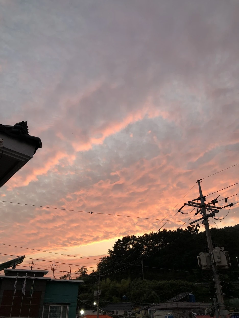 351D0E9A-3EFD-4783-AAC7-5571BDA6B3AB.jpeg?type=w1