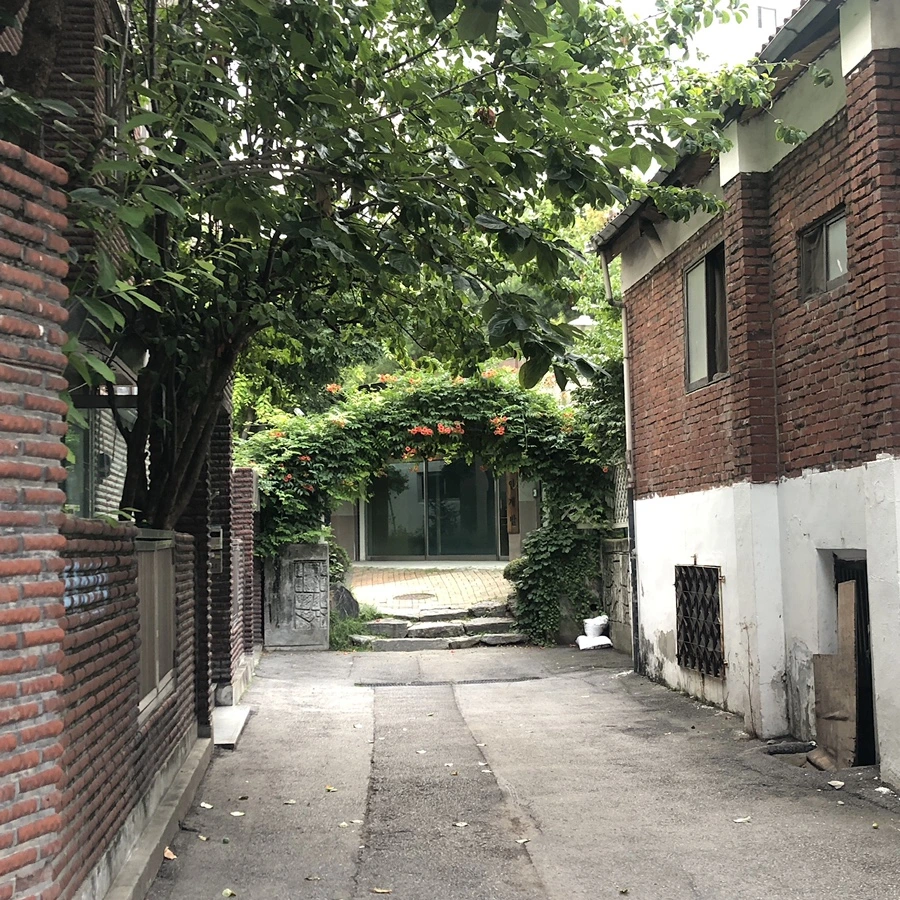 IMG_3920.JPG?type=w1