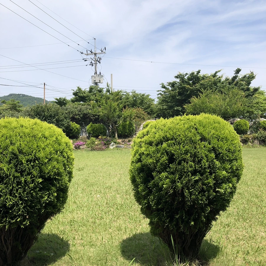 IMG_3401.JPG?type=w1