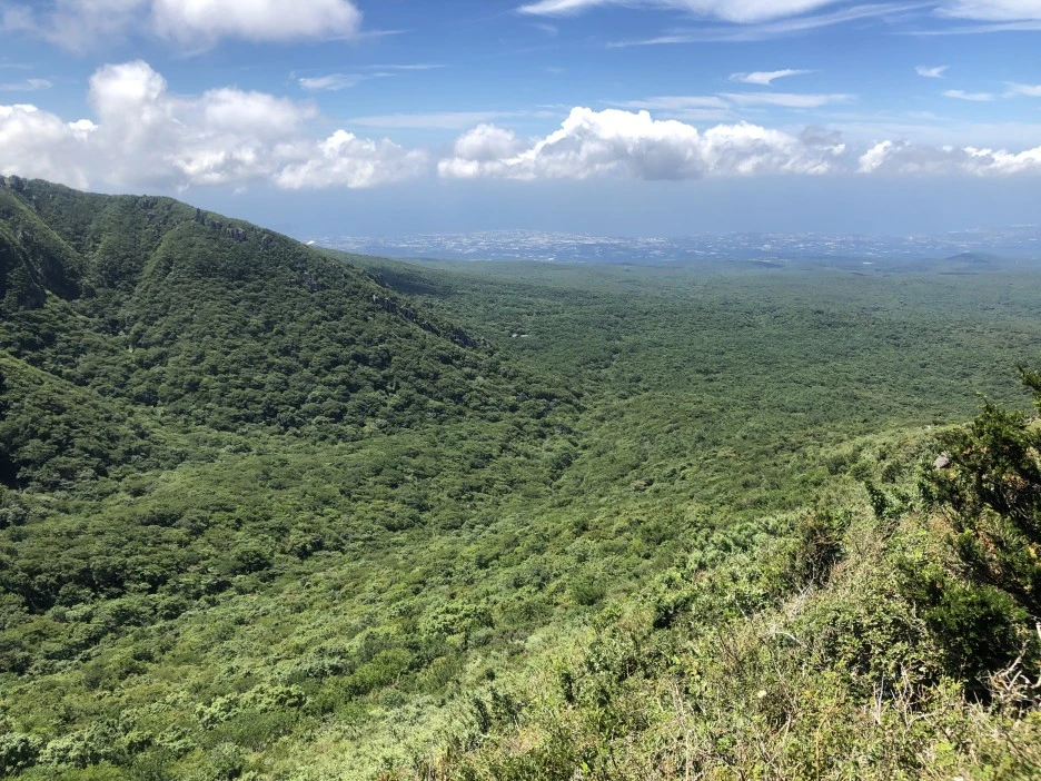 IMG_5653.JPG?type=w1