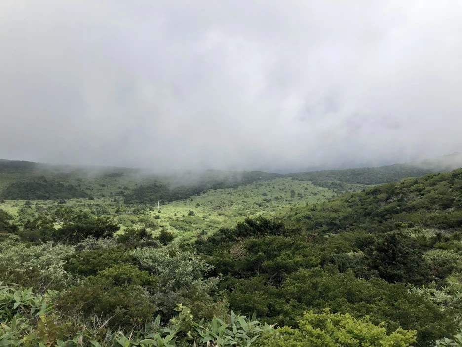 IMG_5703.JPG?type=w1