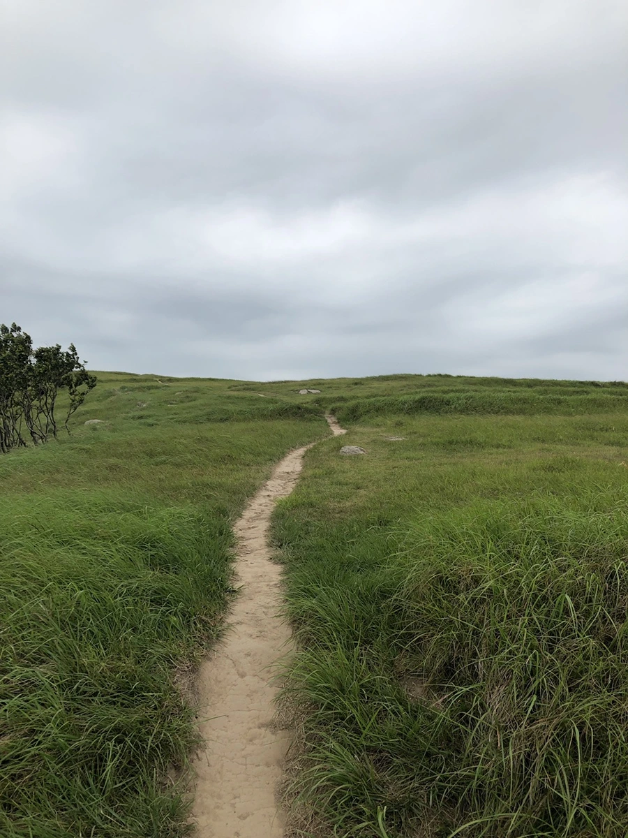 IMG_4008.JPG?type=w1