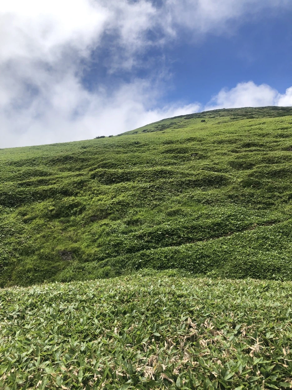 IMG_5707.JPG?type=w1