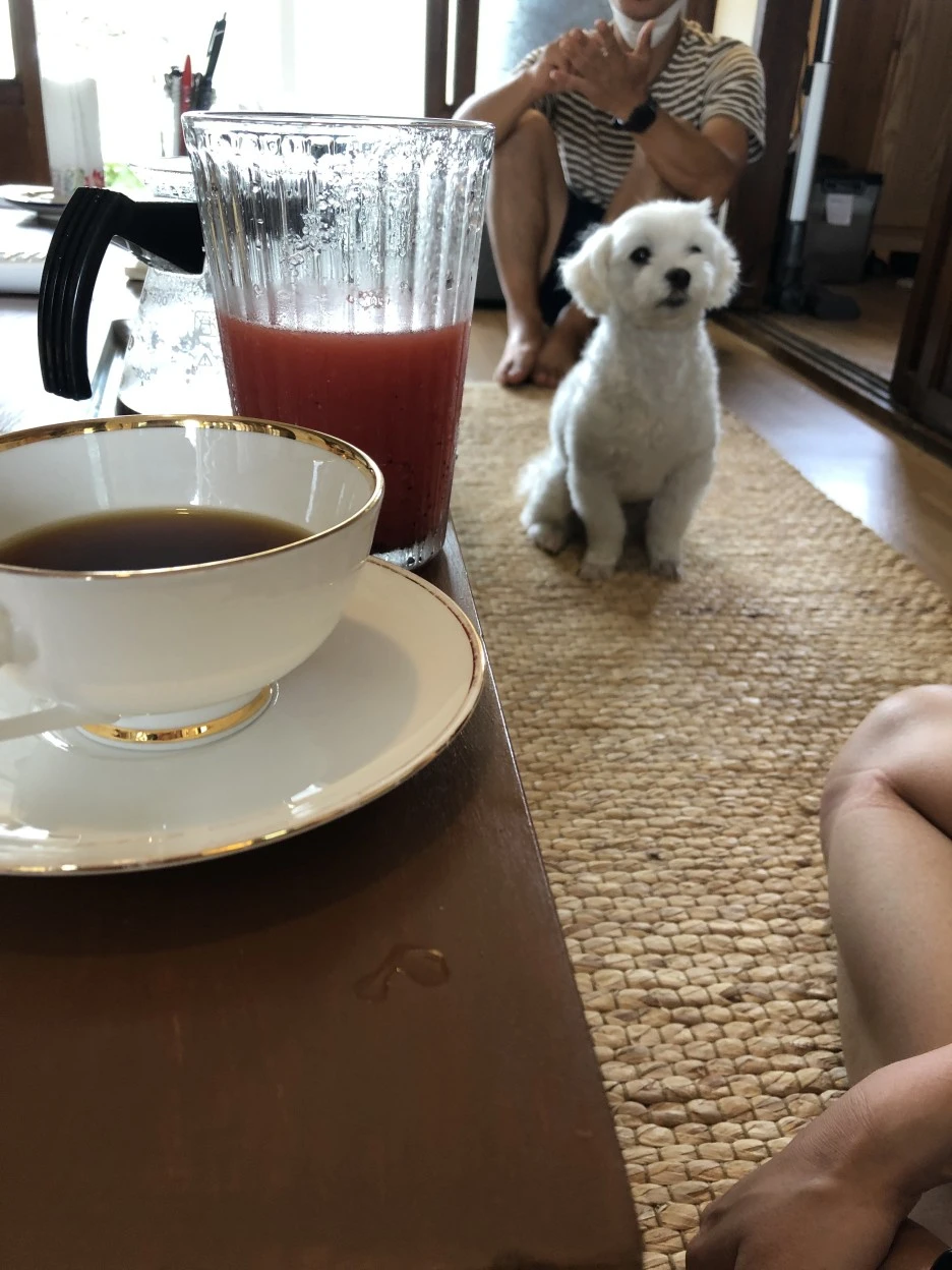 IMG_5990.JPG?type=w1