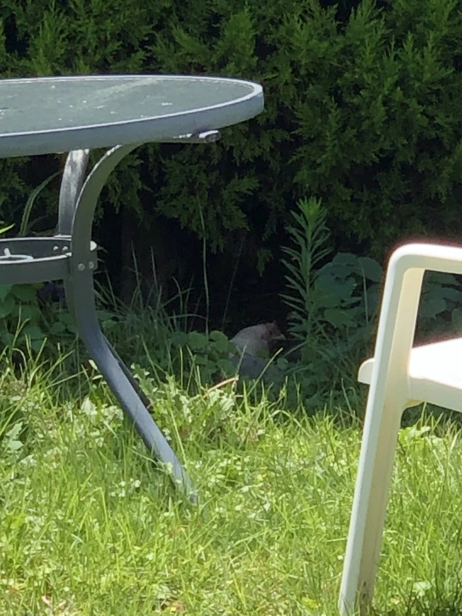 IMG_5804.JPG?type=w1