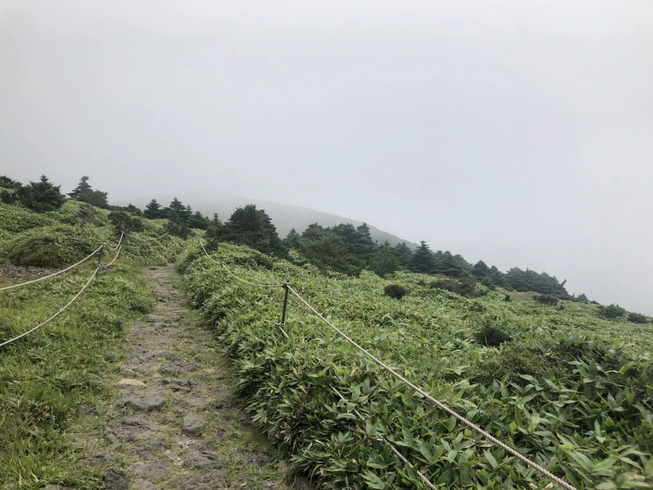 IMG_5699.JPG?type=w1