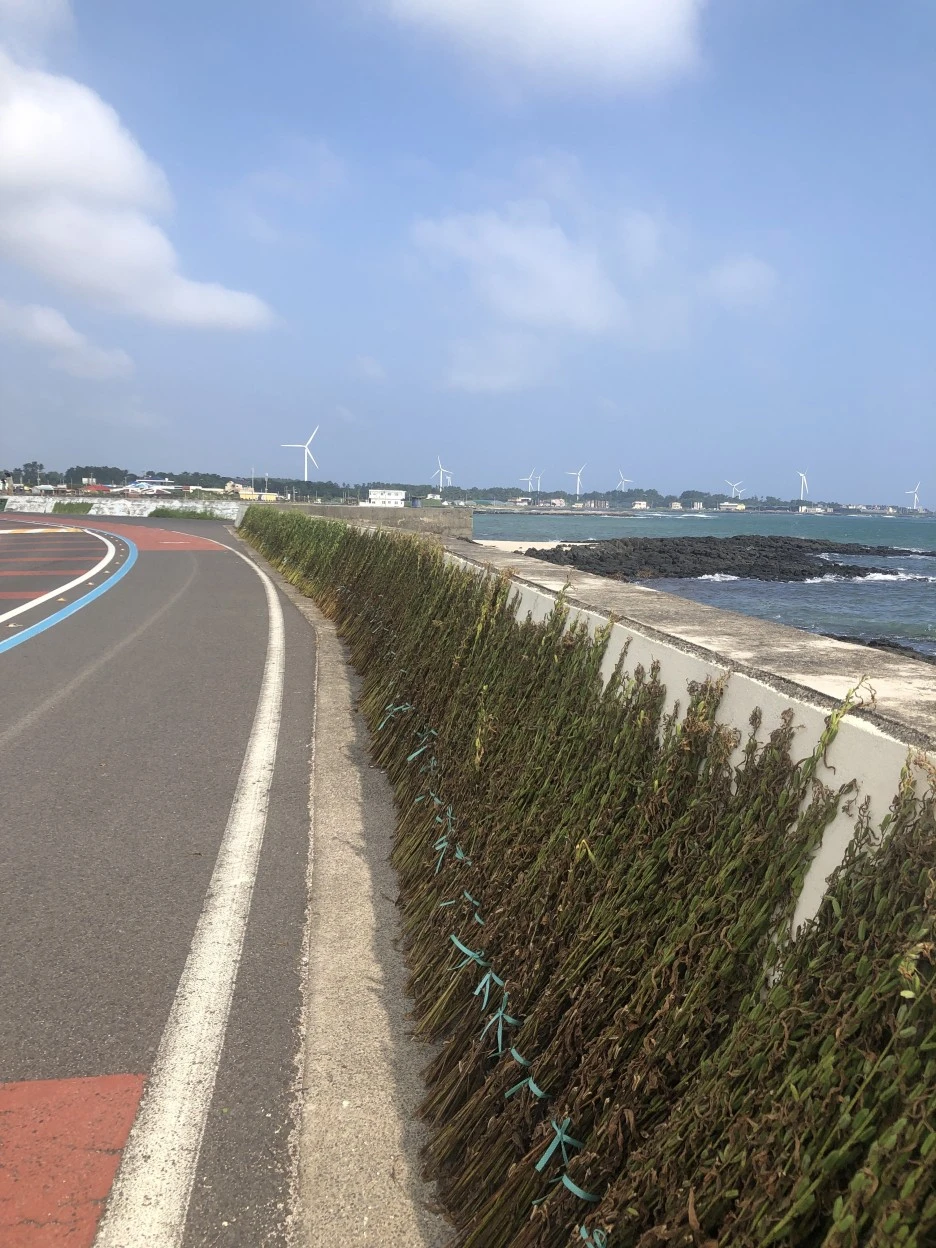 IMG_6258.JPG?type=w1