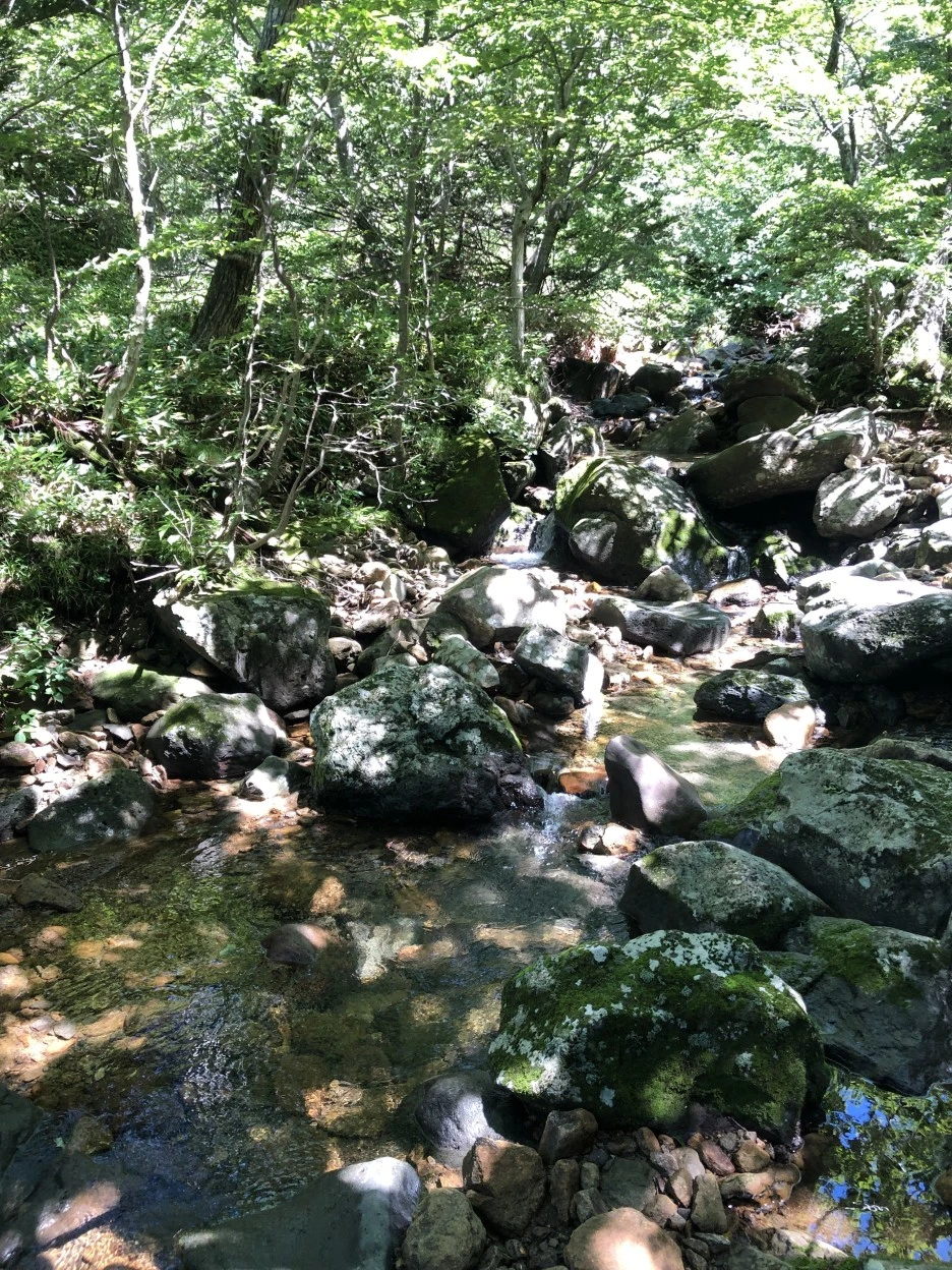 IMG_5638.JPG?type=w1