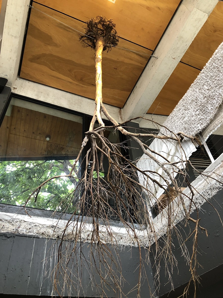 IMG_3433.JPG?type=w1