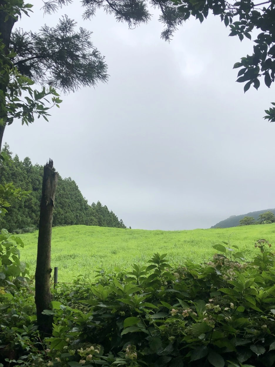 IMG_6072.JPG?type=w1