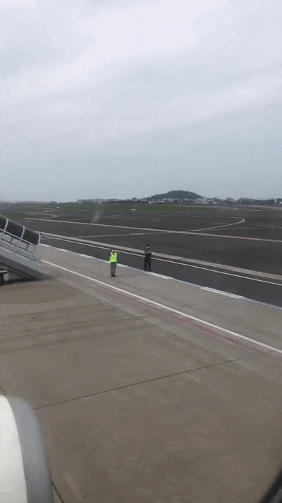 ezgif.com-video-to-gif-3.gif?type=w1