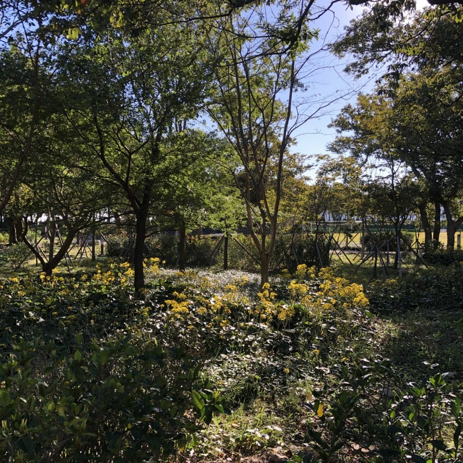 IMG_8787.JPG?type=w1