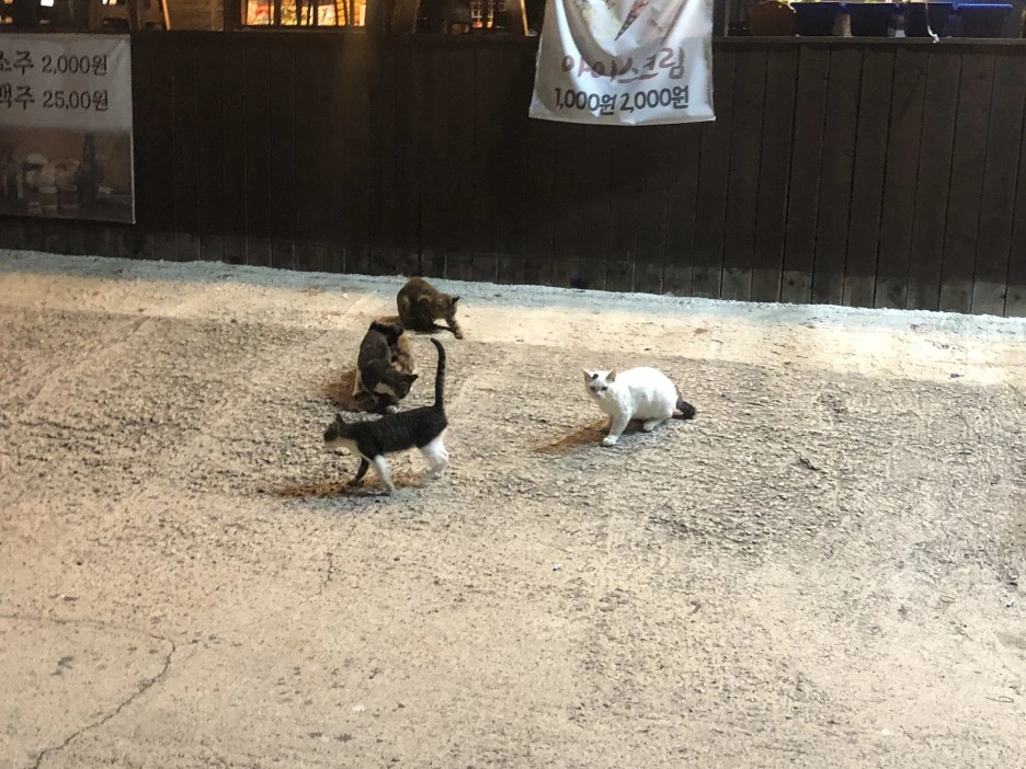 IMG_8614.JPG?type=w1