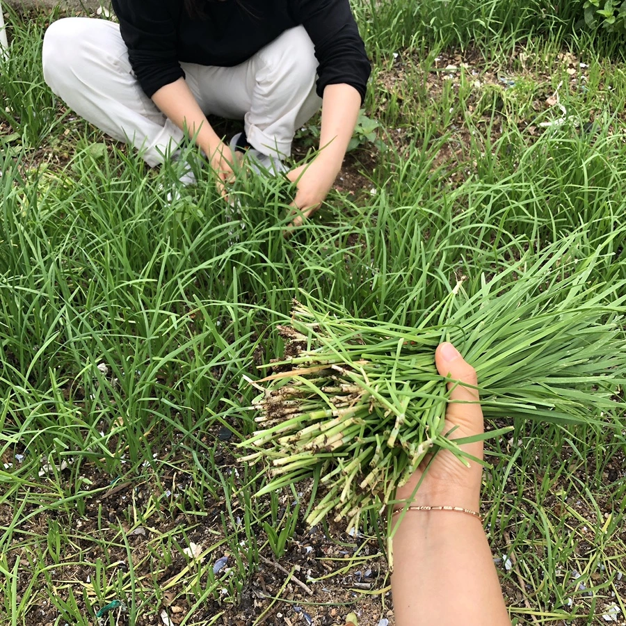 IMG_3421.JPG?type=w1