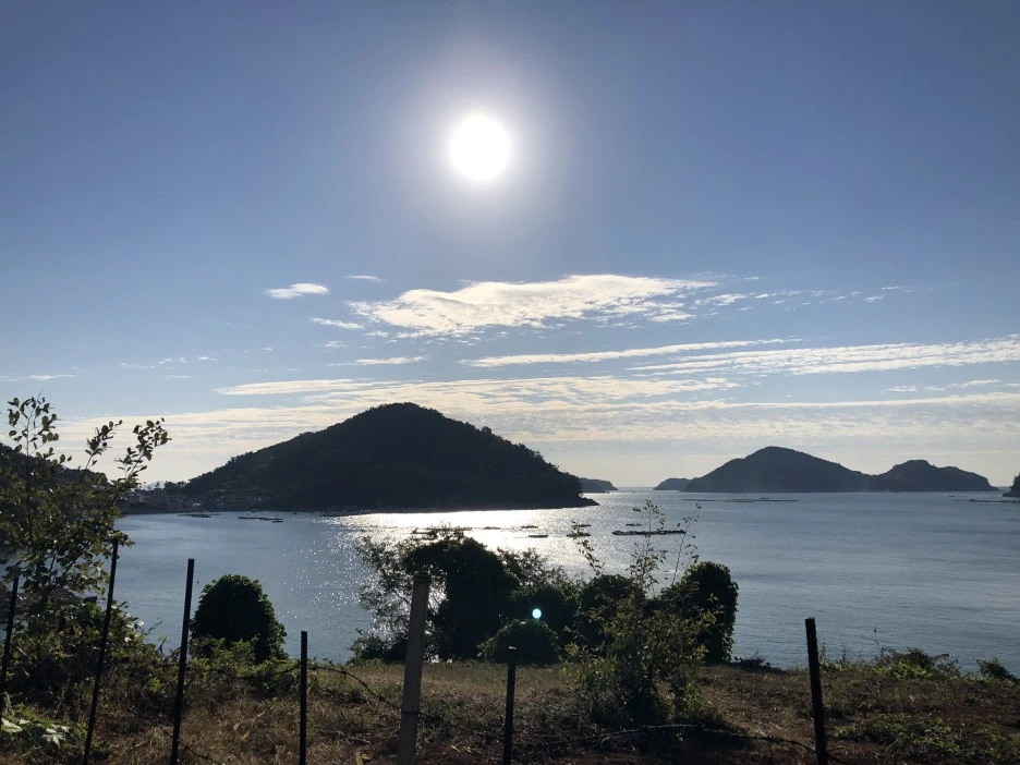 IMG_8929.JPG?type=w1