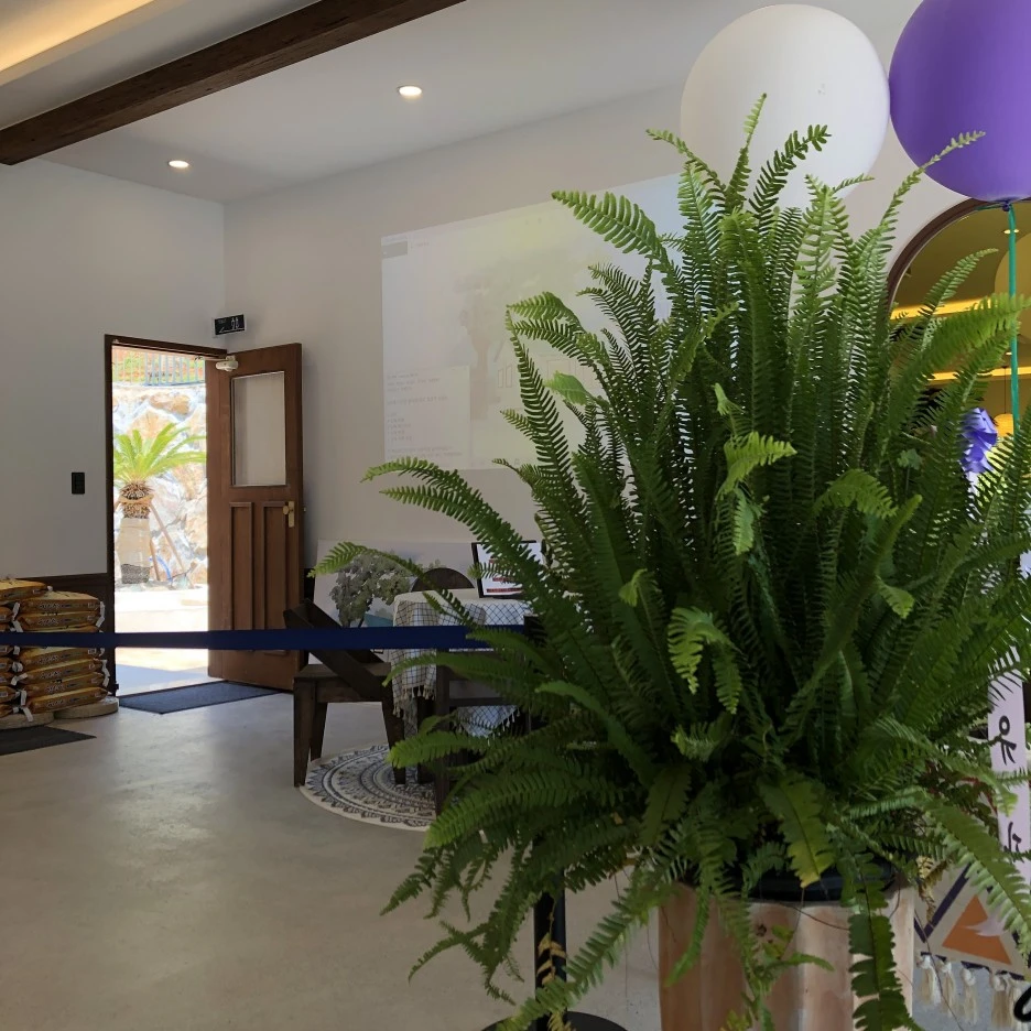 06A23BA0-1801-444B-A1C9-24DE3C3696AF.jpeg?type=w1