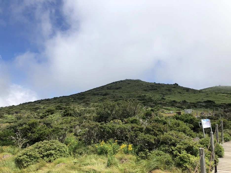 IMG_5672.JPG?type=w1