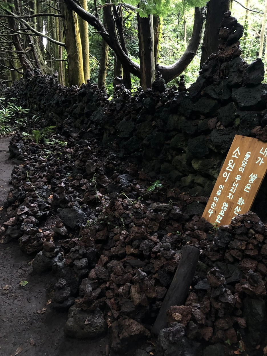 IMG_6137.JPG?type=w1