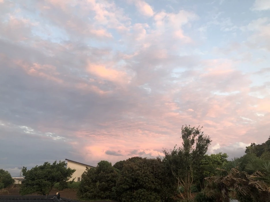 IMG_6180.JPG?type=w1