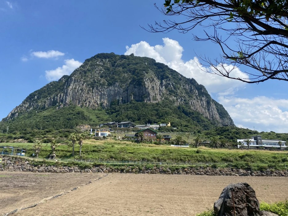 IMG_9181.jpeg?type=w1