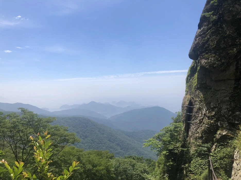 91440F8F-9100-4383-94D6-B68B569F4E49.jpeg?type=w1