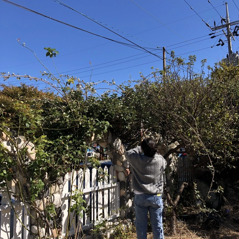 IMG_8866.JPG?type=w1