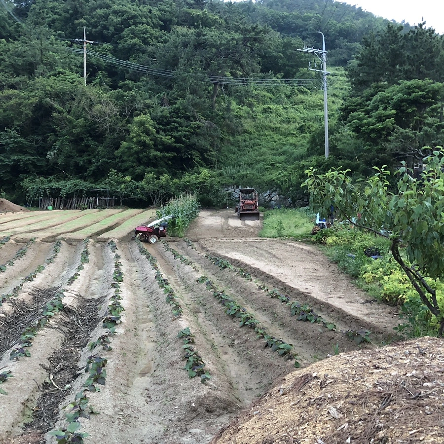 IMG_3408.JPG?type=w1