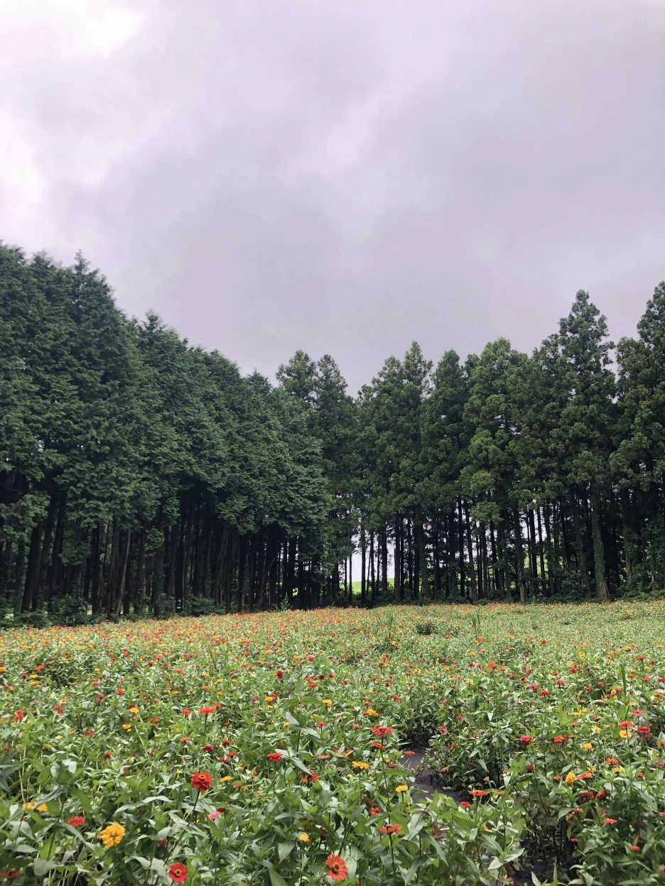 IMG_6055.JPG?type=w1