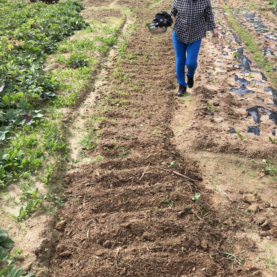 IMG_8473.JPG?type=w1