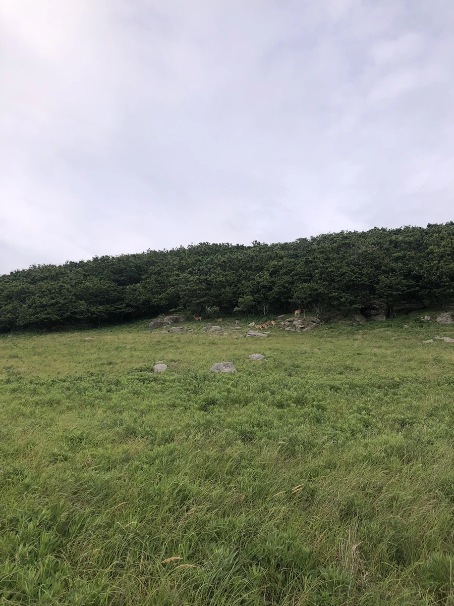 IMG_4015.JPG?type=w1