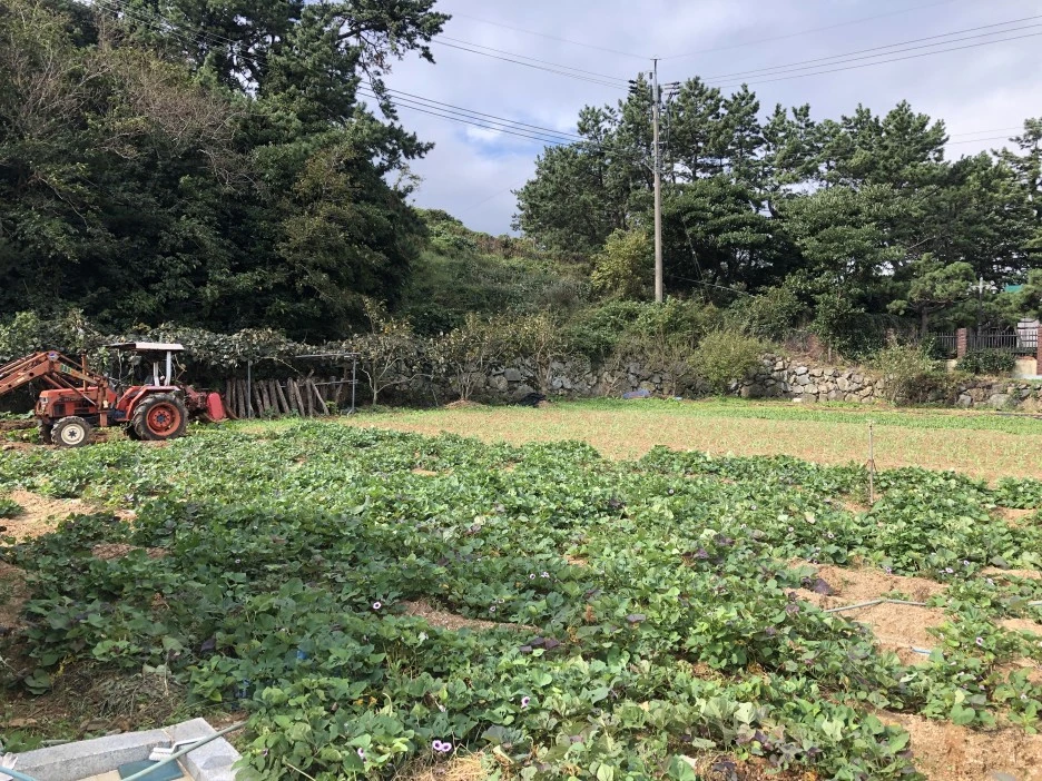 IMG_8472.JPG?type=w1