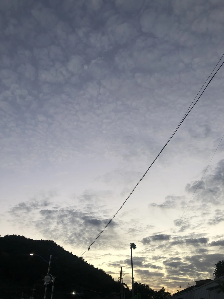 IMG_8889.JPG?type=w1