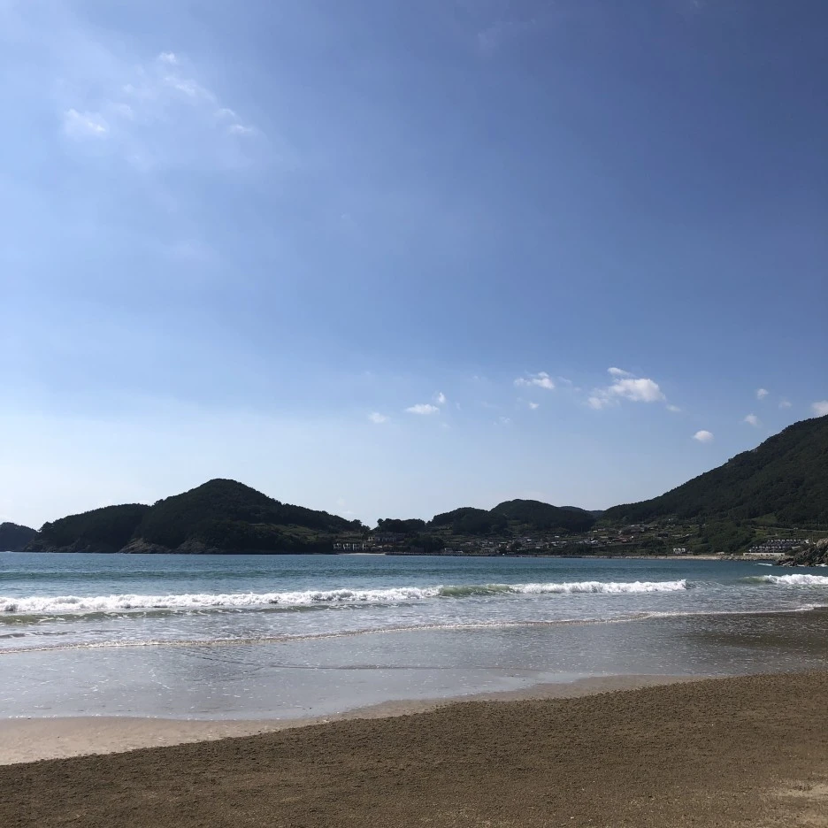 IMG_8602.JPG?type=w1