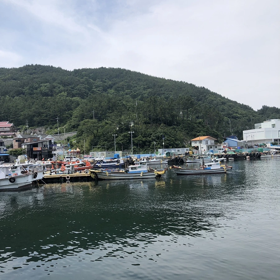 IMG_3394.JPG?type=w1