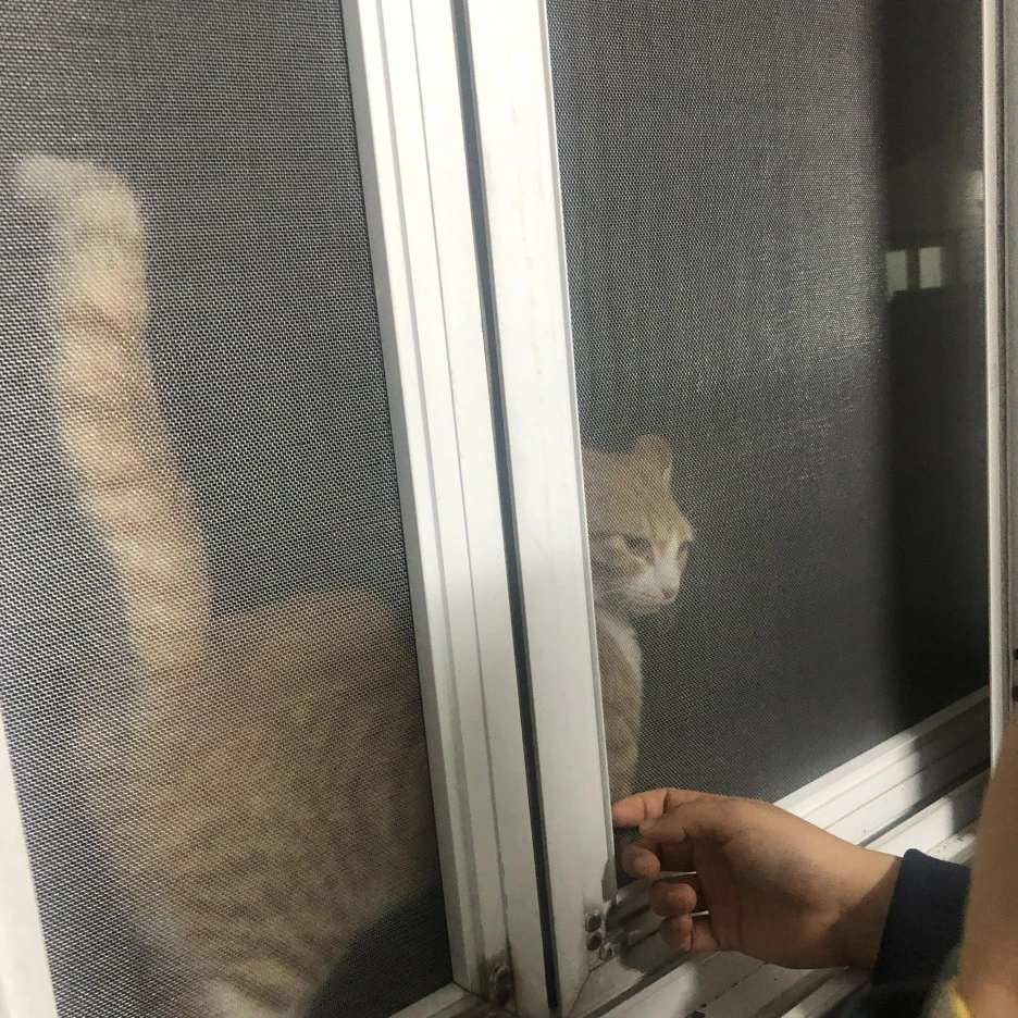 IMG_8490.JPG?type=w1