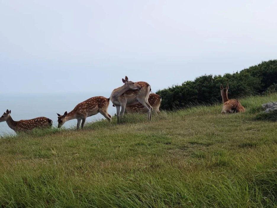 5B234A75-563B-4D1A-A725-427327CAD555.jpeg?type=w1