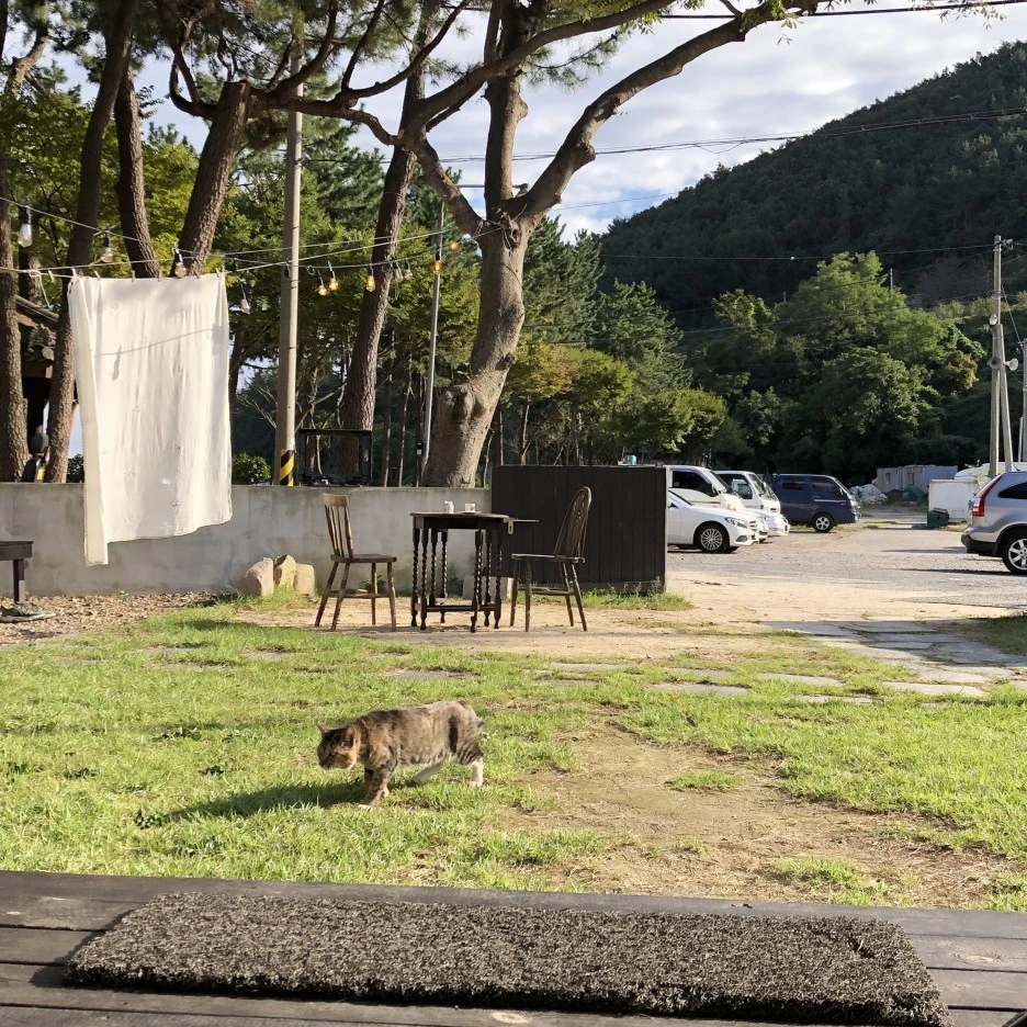 IMG_8522.JPG?type=w1