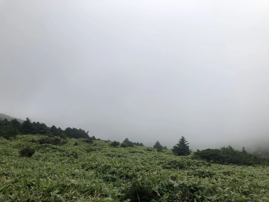 IMG_5701.JPG?type=w1