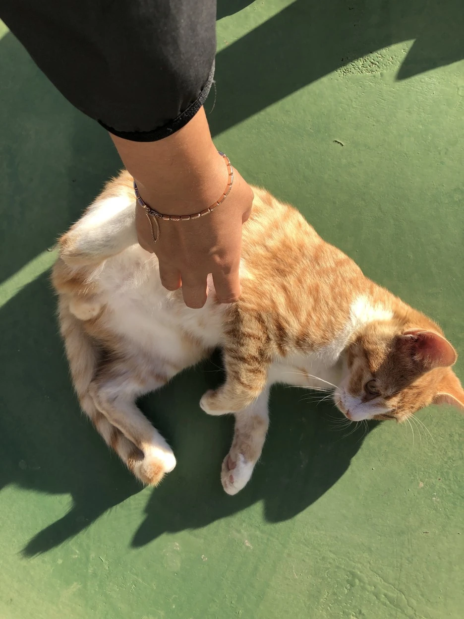 IMG_8560.JPG?type=w1