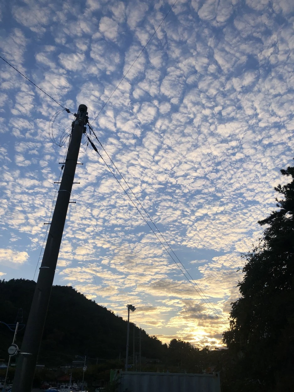 IMG_8884.JPG?type=w1