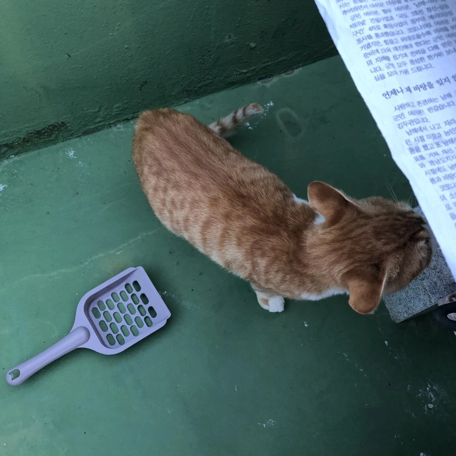 IMG_8803.JPG?type=w1