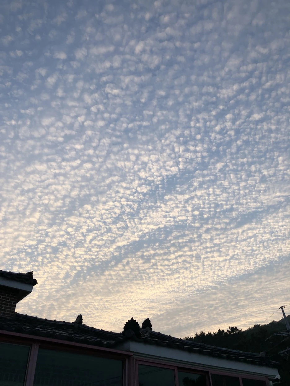 B7D243D7-8C4A-4F58-85F7-98402404F3D5.jpeg?type=w1