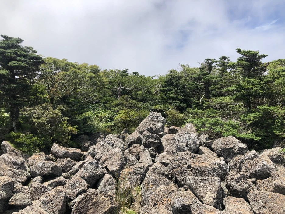 IMG_5670.JPG?type=w1