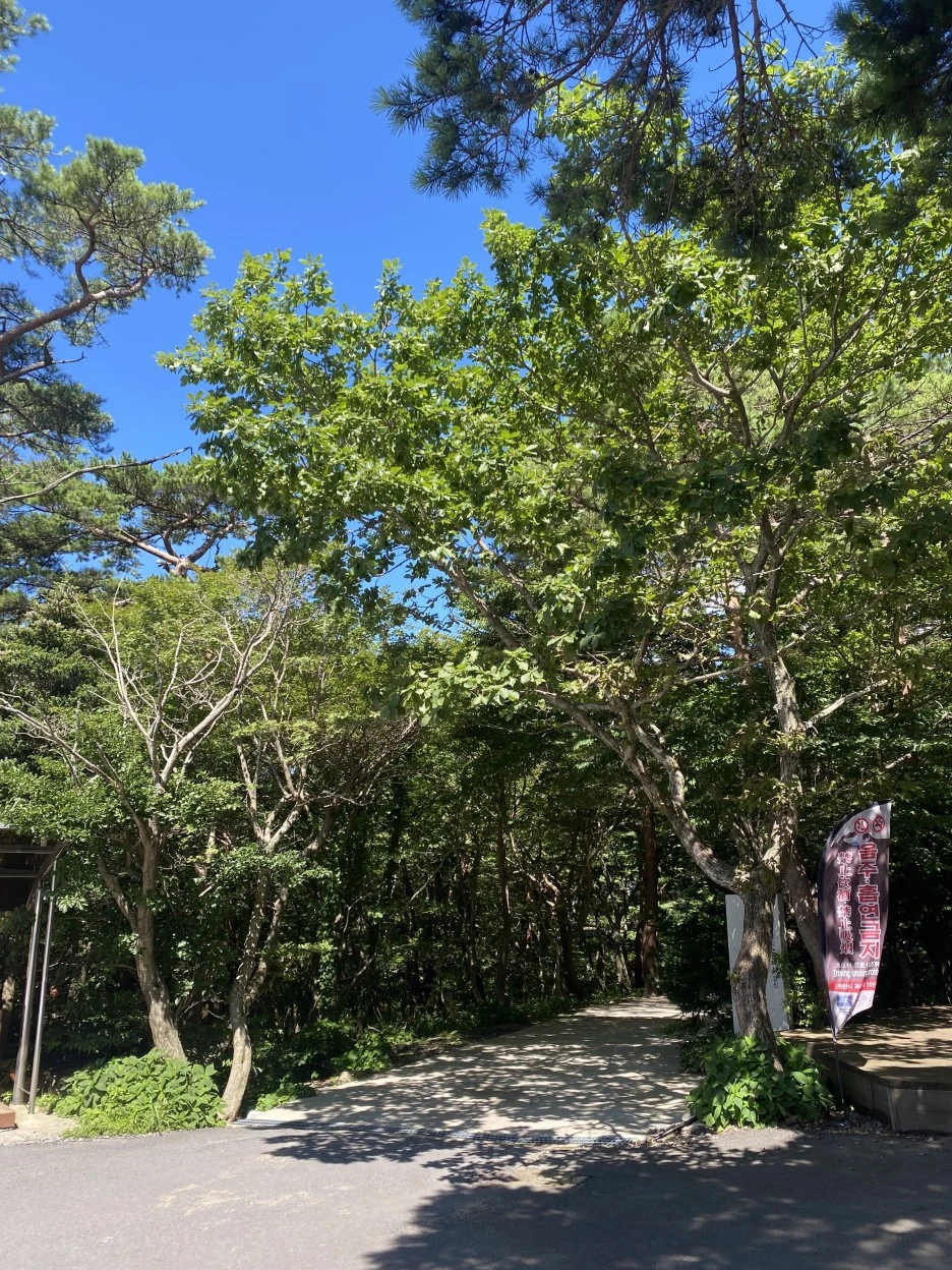 IMG_8635.jpeg?type=w1