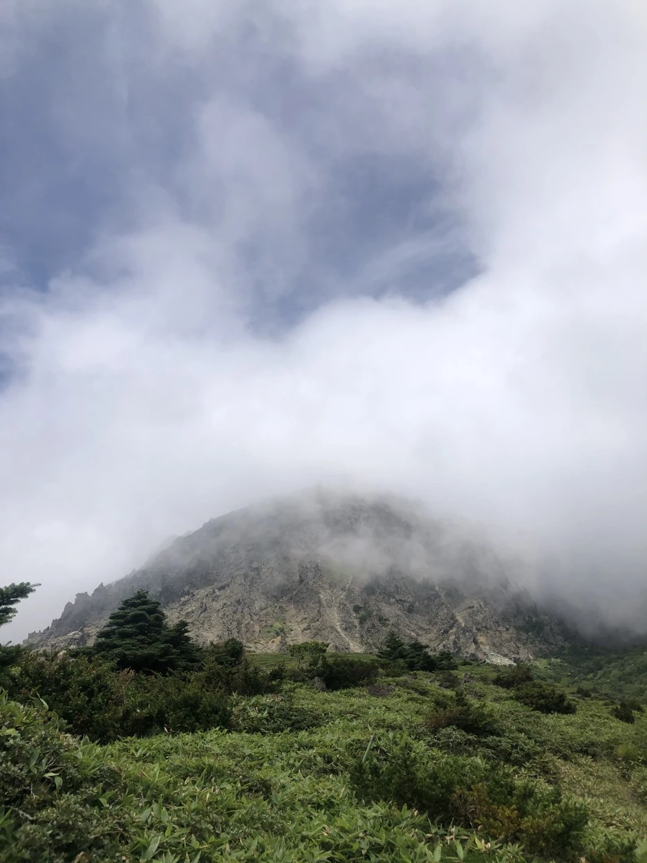 IMG_5706.JPG?type=w1