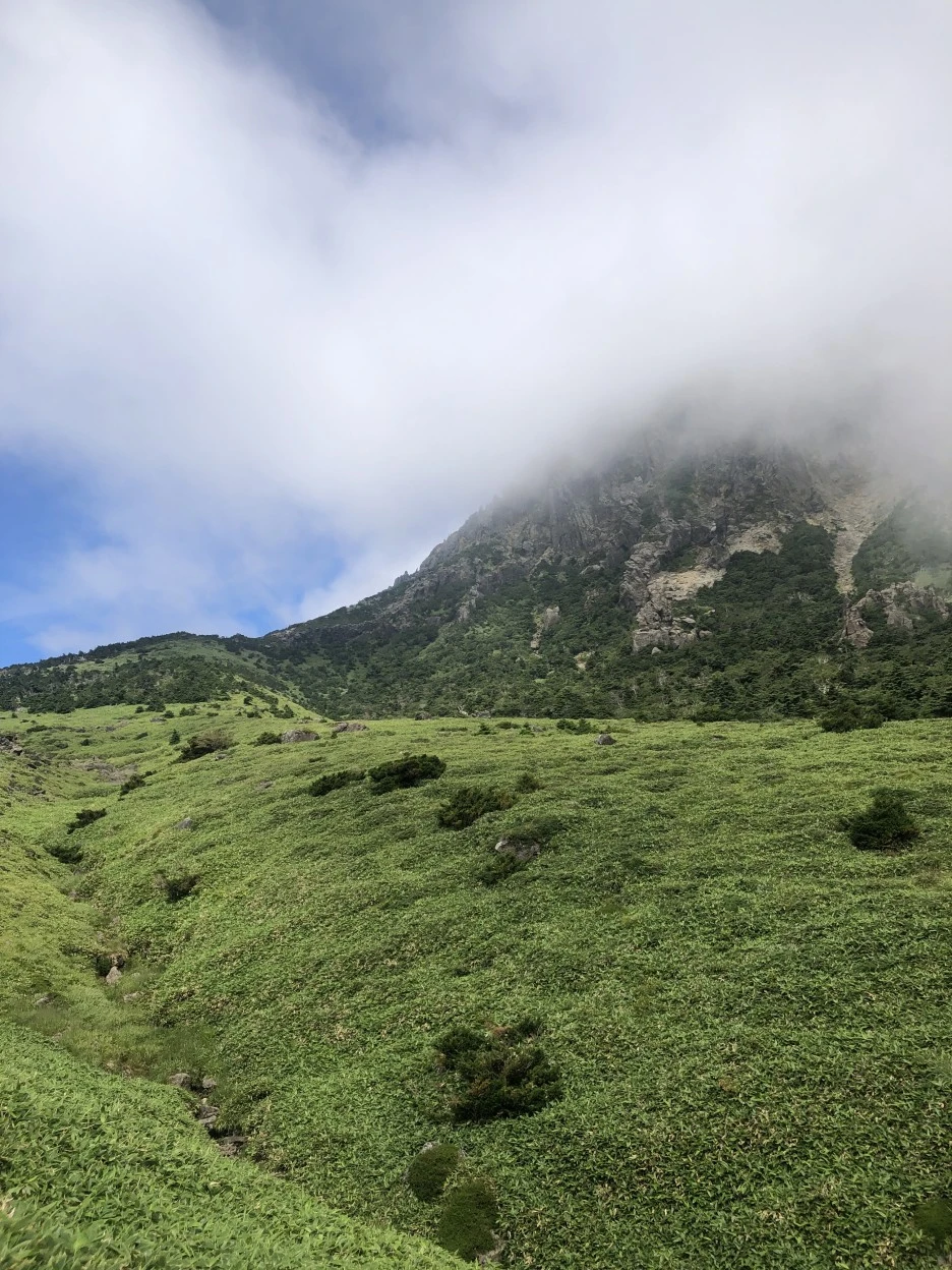 IMG_5713.JPG?type=w1