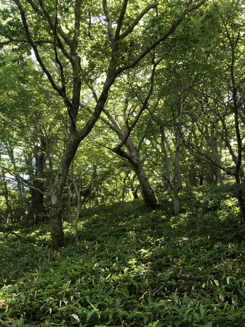 IMG_5632.JPG?type=w1