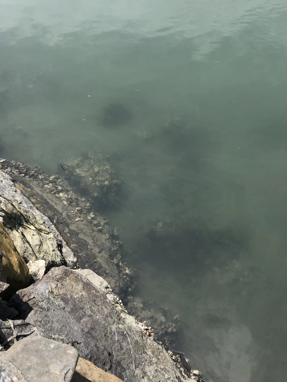 F6731C17-D001-4EB1-9CBD-DD7F0A48B5FE.jpeg?type=w1