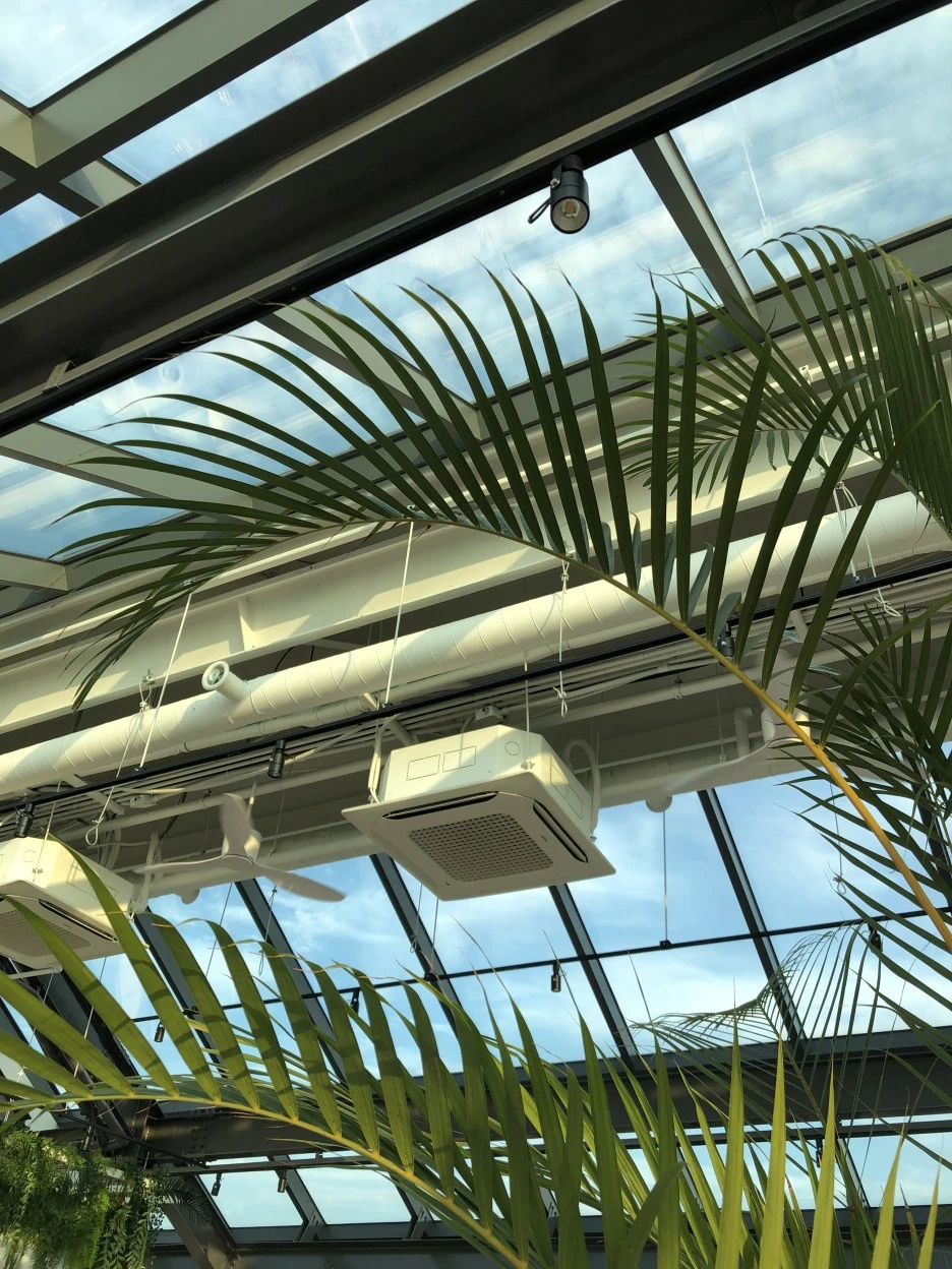 14C62795-3210-4549-B36C-629499F8C8DA.jpeg?type=w1