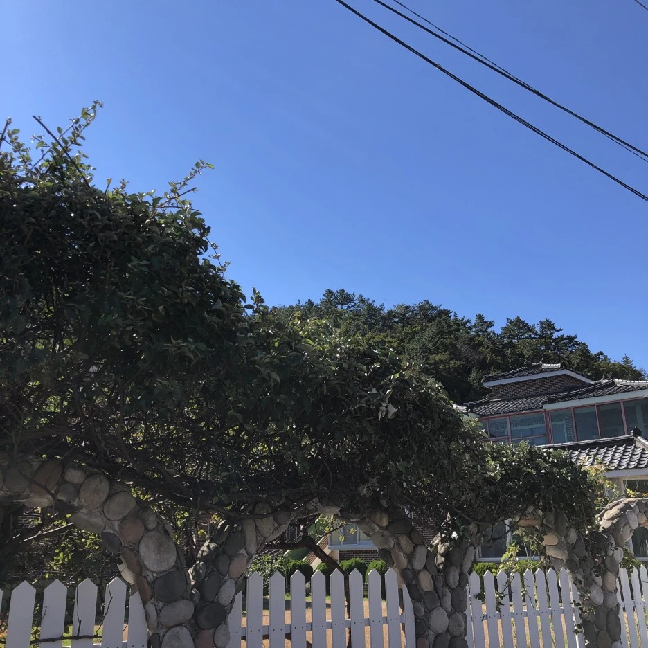 IMG_8869.JPG?type=w1